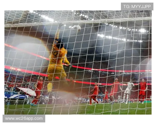 06世界杯足球赛精彩瞬间回顾与分析,带你重温那些难忘的比赛时刻