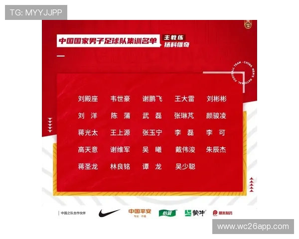 2026年世界杯参赛球队名单全解析，哪些国家成功入围