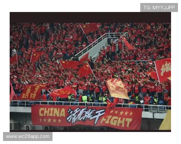 世界杯预选赛赛程中国积分最新更新，详细解析中国队晋级形势与未来比赛安排