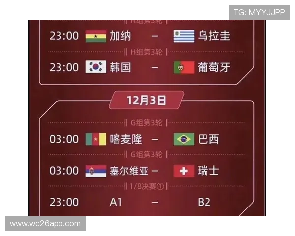 卡塔尔世界杯欧洲区预选赛积分榜实时追踪,球队排名变化及赛季展望