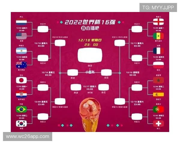 2026年世界杯已晋级球队名单公布，详细解析各大洲晋级情况与亮点
